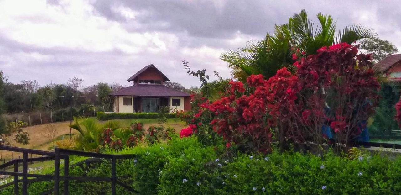 Winterville Flat 213 กราวาตา ภายนอก รูปภาพ