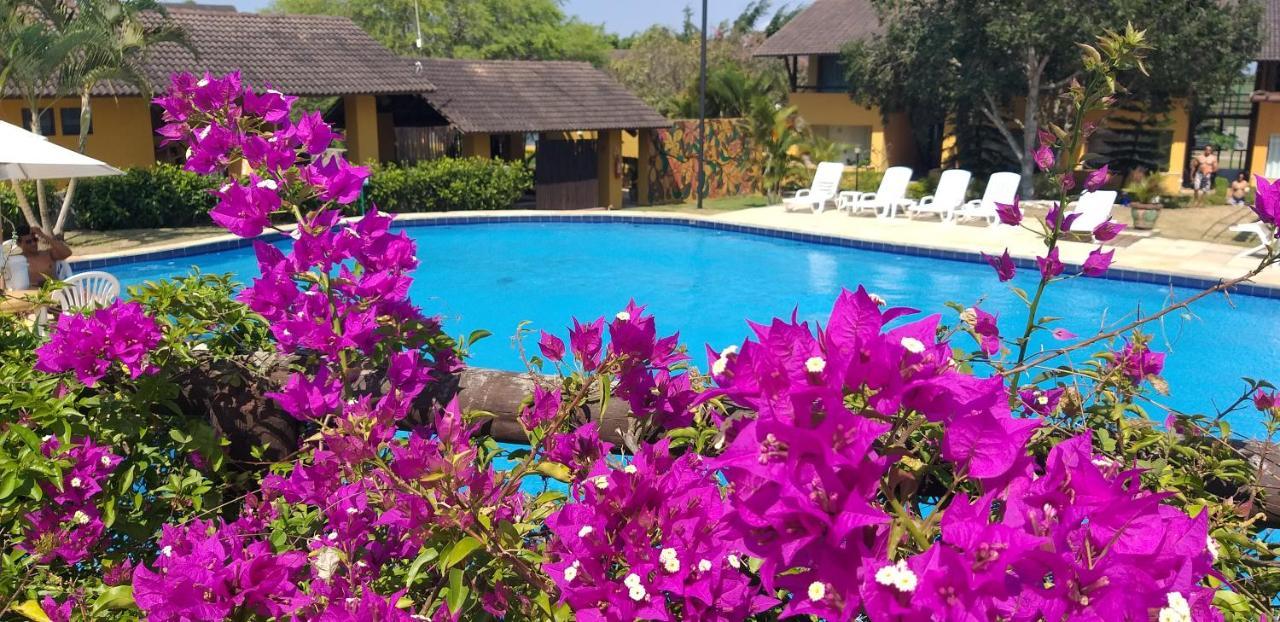 Winterville Flat 213 กราวาตา ภายนอก รูปภาพ
